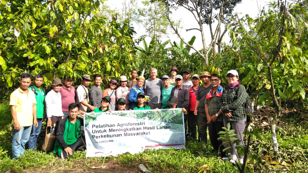 2019 08 19 agroforestry training Kapuas Hulu