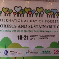 Celebrating the International Day of Forests 2018
