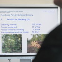 forests in germany - brief info