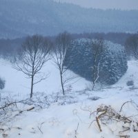 winter-land-scape