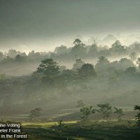 FORCLIME online photo contest 2011 - winning photos